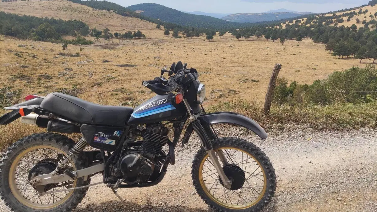 Suzuki   (5)