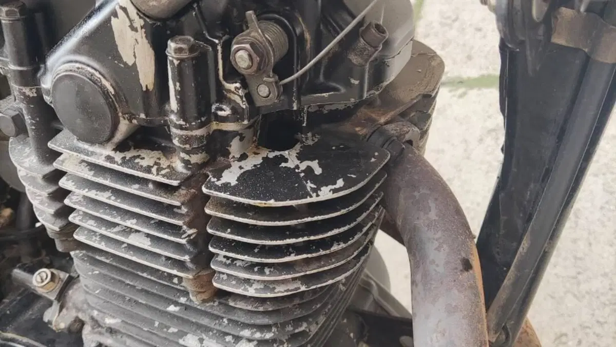 Suzuki   (9)