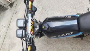Suzuki   (13)