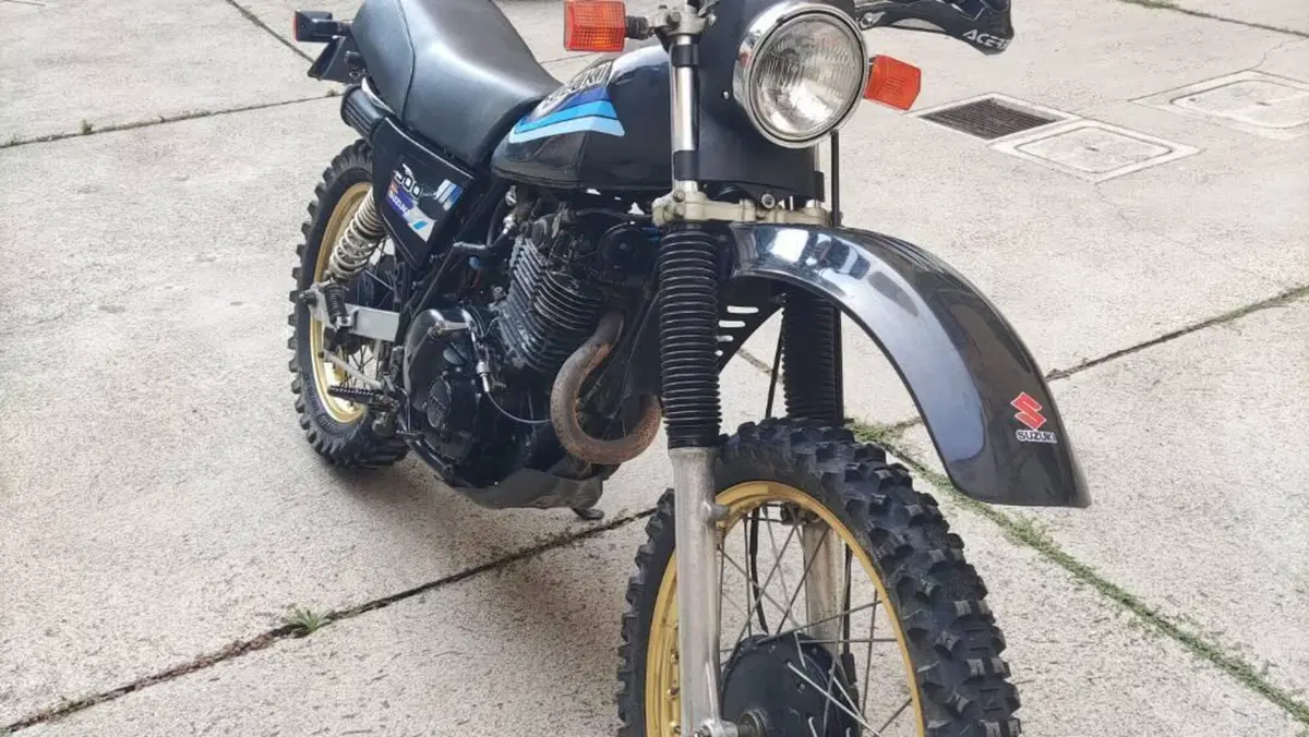 Suzuki   (2)