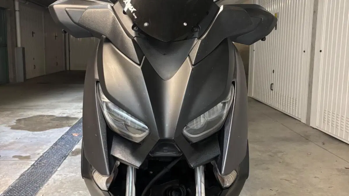 Yamaha X-Max 300 ABS (2017 - 20)  (6)