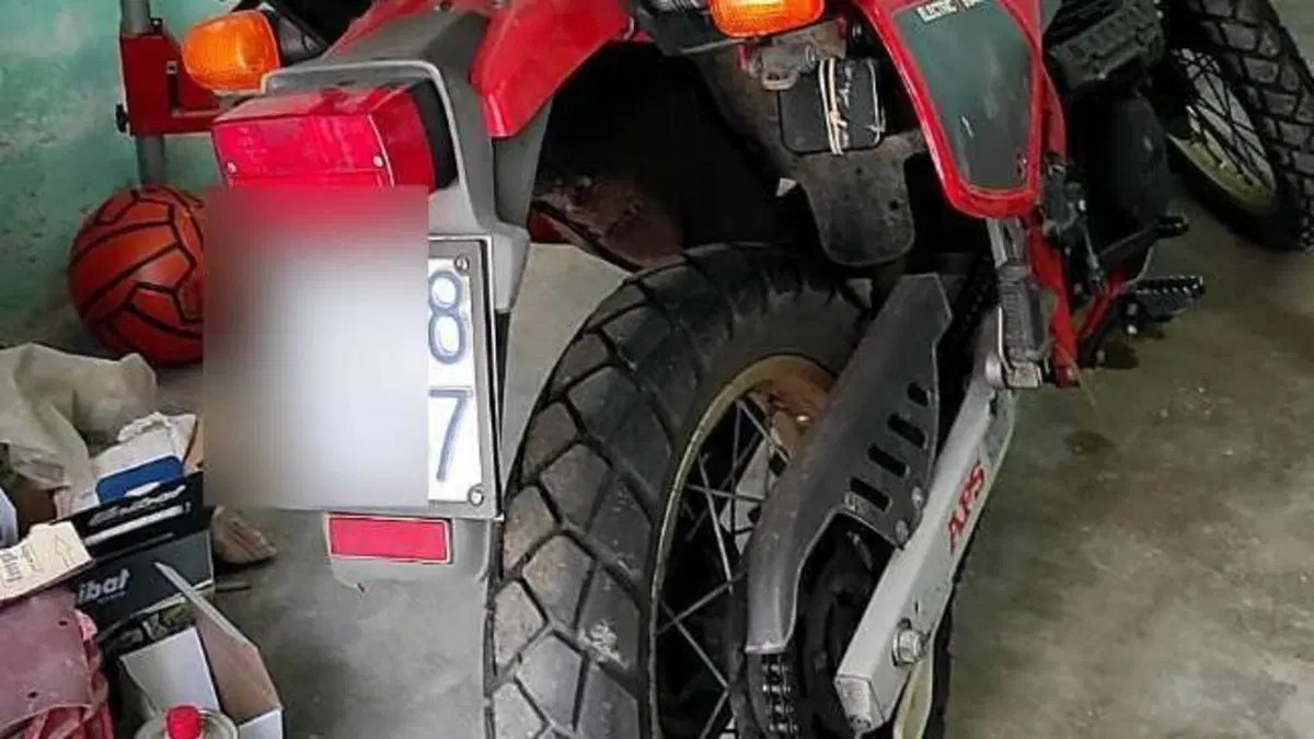 Aprilia   (6)