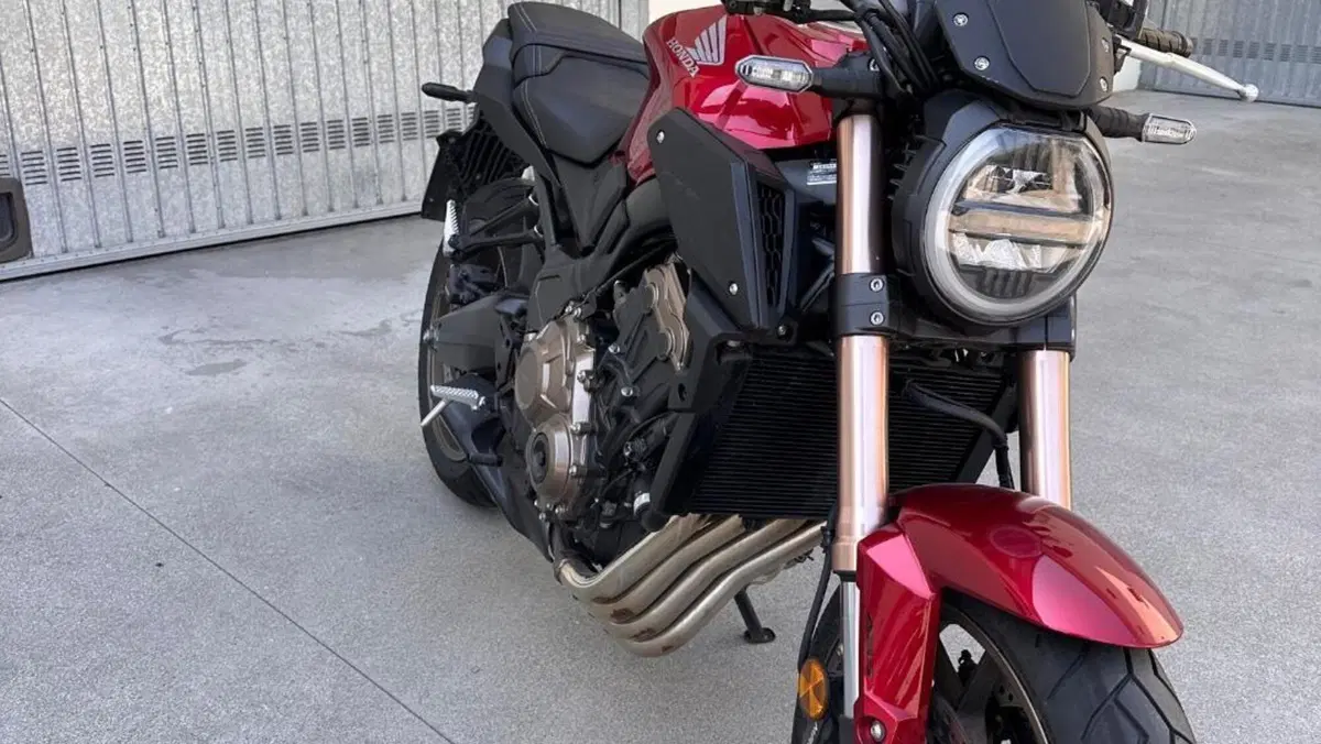 Honda CB 650 R (2021 - 23)  (2)