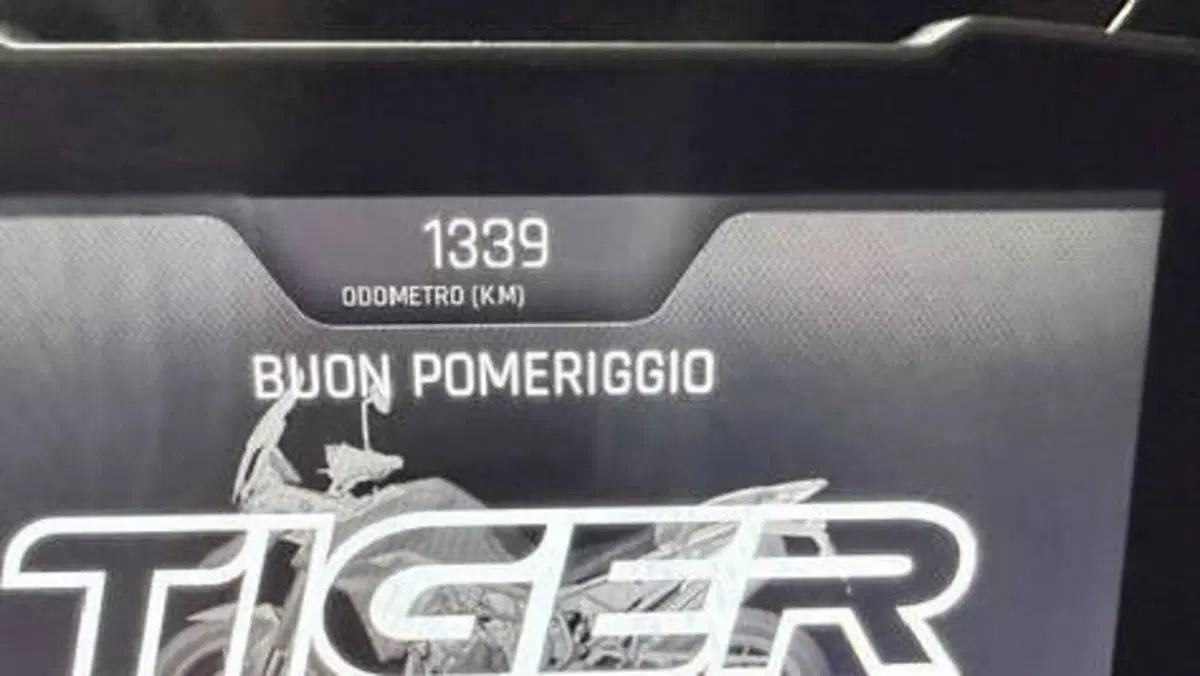 Triumph Tiger 900 Rally Pro (2020 - 23)  (4)