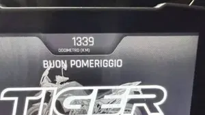 Triumph Tiger 900 Rally Pro (2020 - 23)  (4)