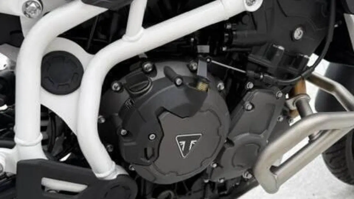 Triumph Tiger 900 Rally Pro (2020 - 23)  (6)