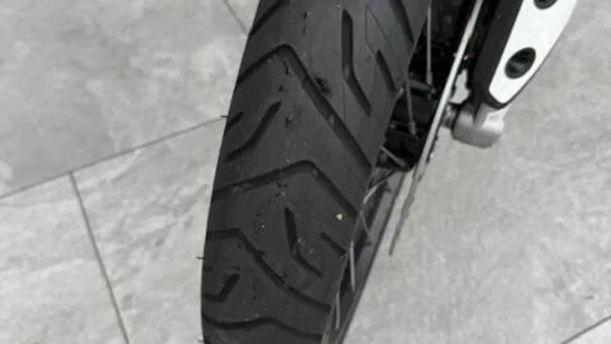 Triumph Tiger 900 Rally Pro (2020 - 23)  (8)