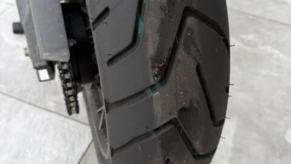 Triumph Tiger 900 Rally Pro (2020 - 23)  (10)