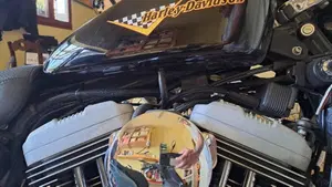 Harley-Davidson 1200 Roadster (2002 - 05) - XL 1200R  (2)