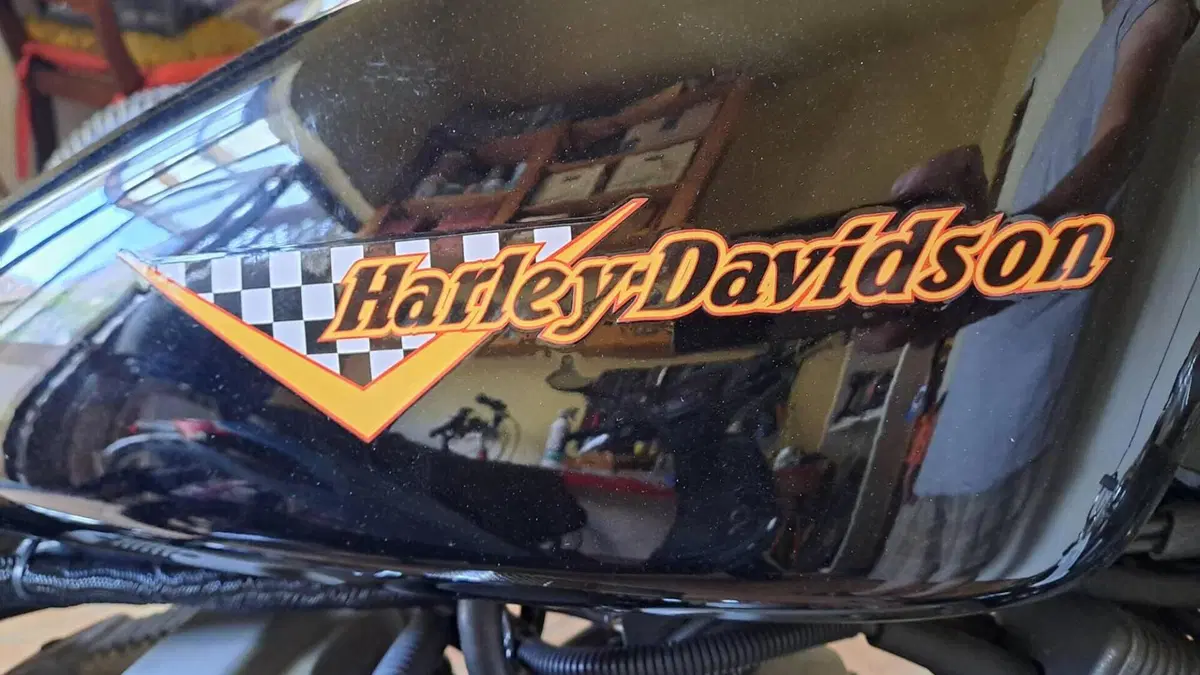 Harley-Davidson 1200 Roadster (2002 - 05) - XL 1200R  (3)