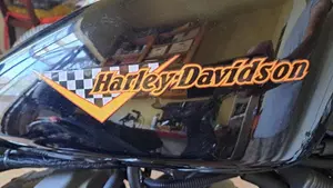 Harley-Davidson 1200 Roadster (2002 - 05) - XL 1200R  (3)