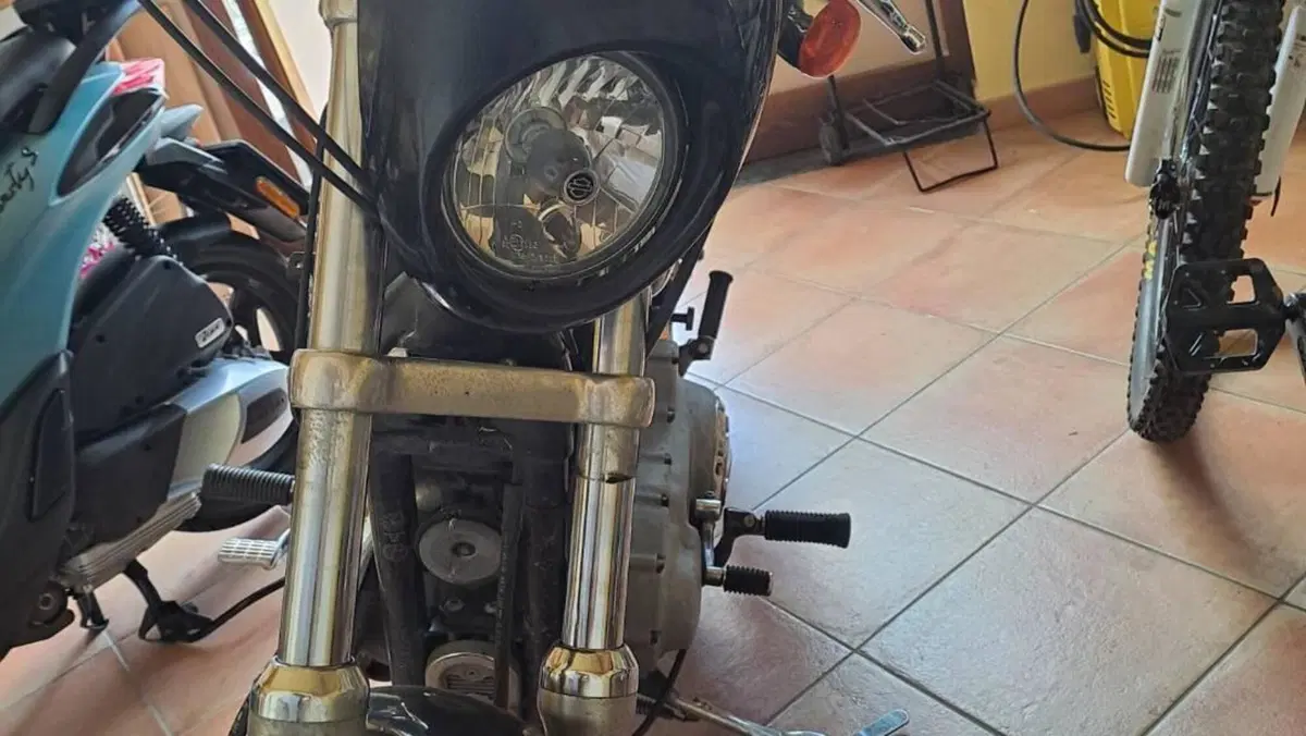 Harley-Davidson 1200 Roadster (2002 - 05) - XL 1200R  (4)