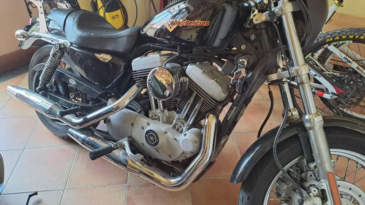 Harley-Davidson 1200 Roadster (2002 - 05) - XL 1200R  (5)