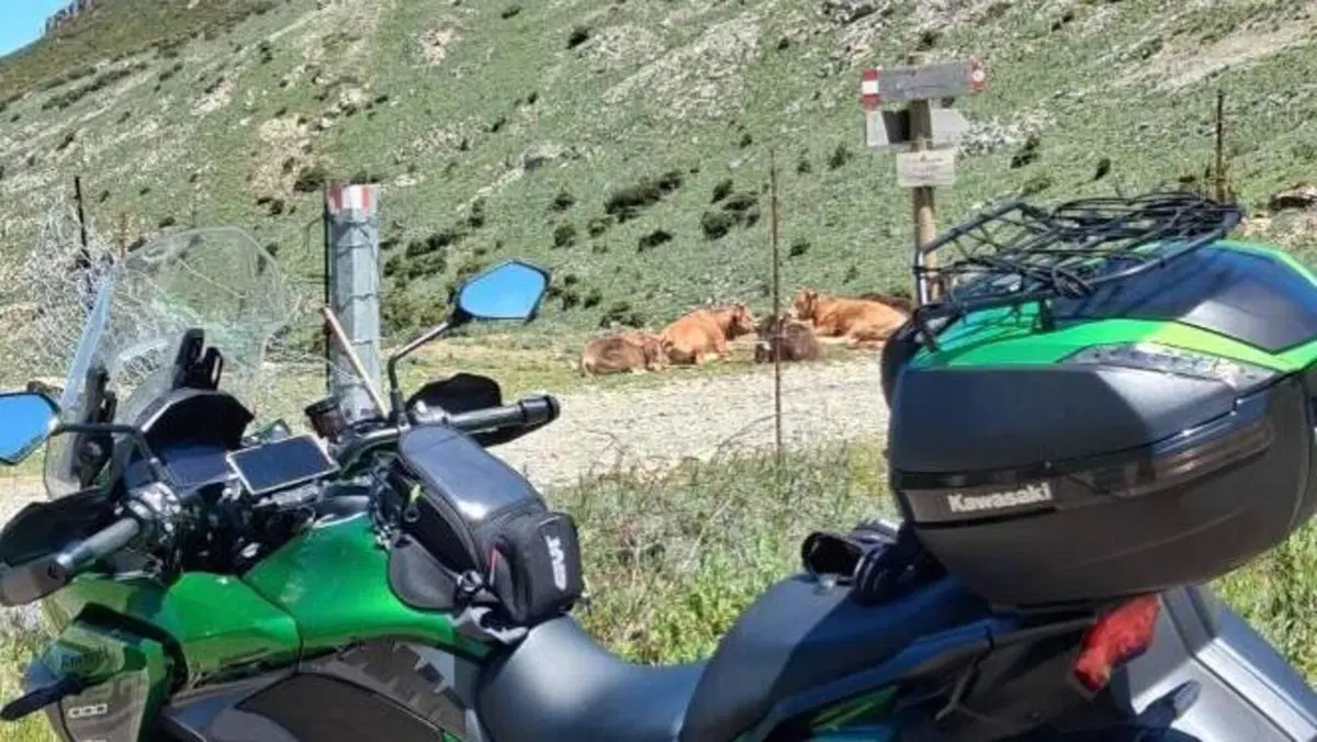 Kawasaki Versys 1000 SE (2019 - 20) 