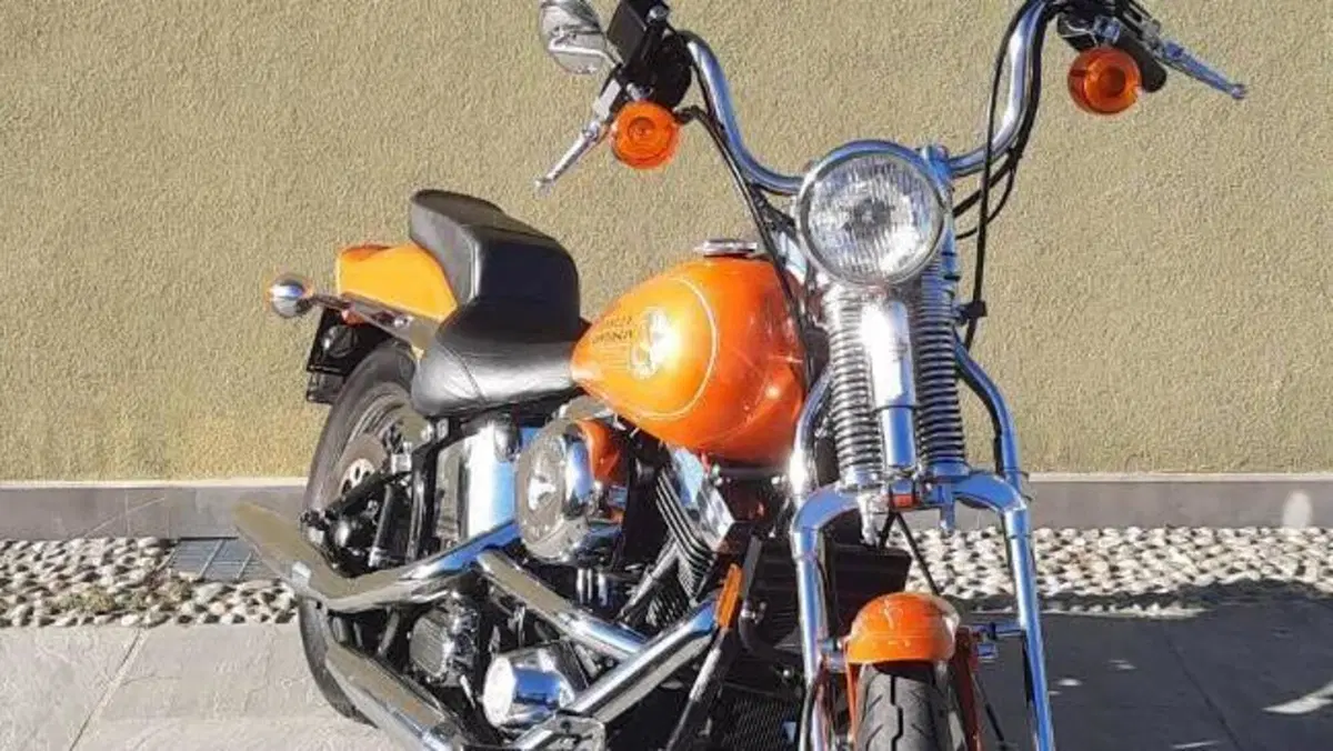 Harley-Davidson   (7)