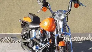 Harley-Davidson   (7)