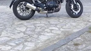 Benelli Leoncino 500 (2021 - 25)  (3)