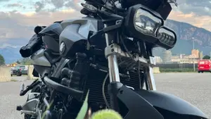 Bmw F 800 R (2009 - 11)  (5)