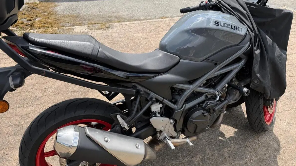 Suzuki SV650 (2021 - 24)  (2)
