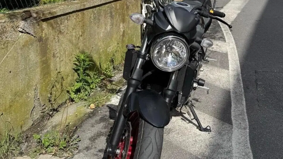 Suzuki SV650 (2021 - 24)  (3)