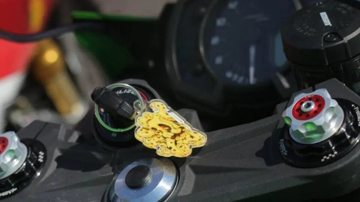 Kawasaki Ninja 636 ZX-6R (2019 - 20)  (2)