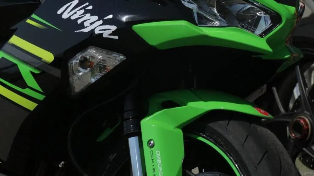 Kawasaki Ninja 636 ZX-6R (2019 - 20)  (3)
