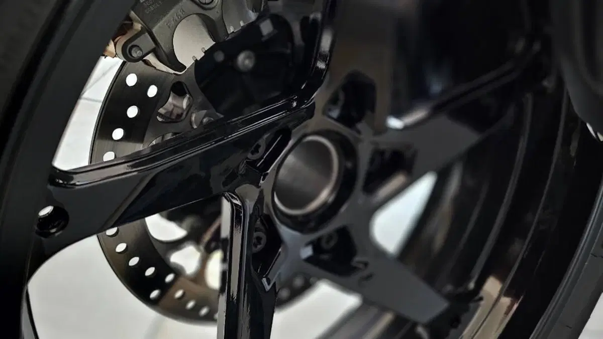 Bmw R 1300 R (2026 - 27)  (11)