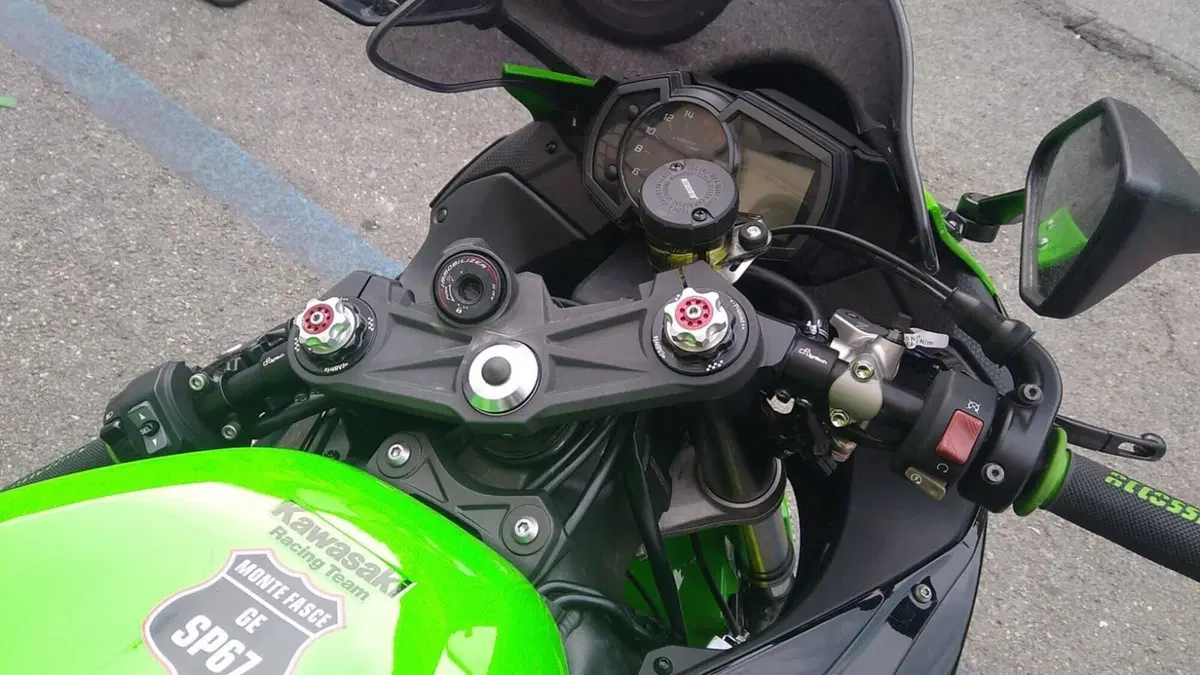 Kawasaki Ninja 636 ZX-6R (2019 - 20)  (7)
