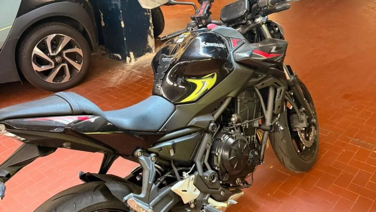 Kawasaki Z 650 (2025 - 26)  (9)