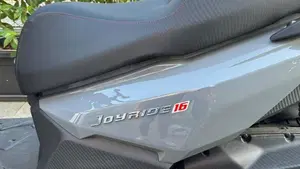 Sym Joyride 300 (2025)  (3)