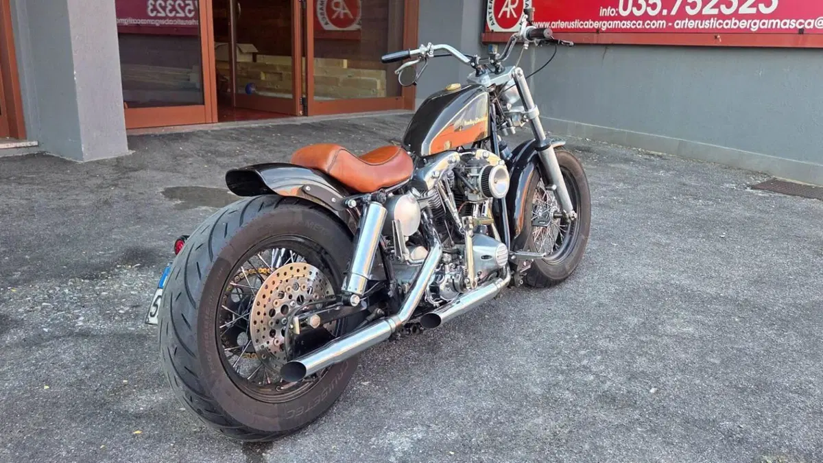 Harley-Davidson   (3)