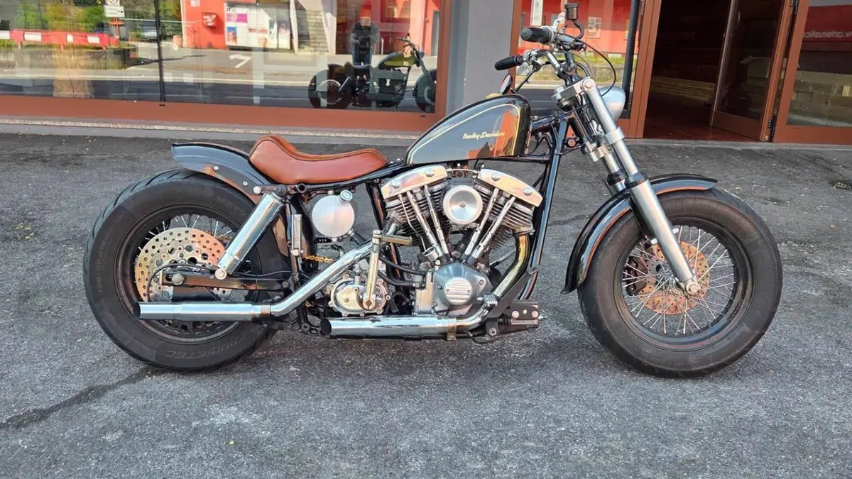 Harley-Davidson   (5)