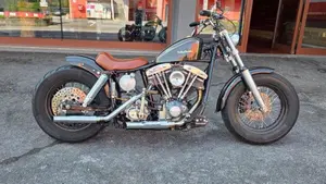 Harley-Davidson   (5)