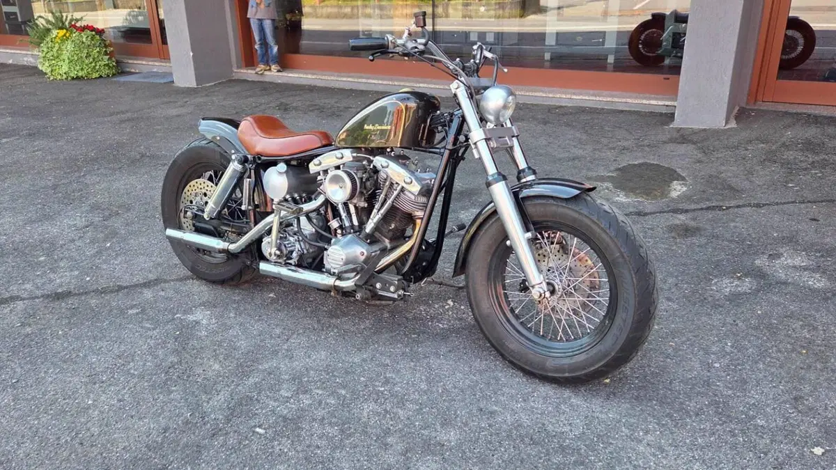 Harley-Davidson   (6)