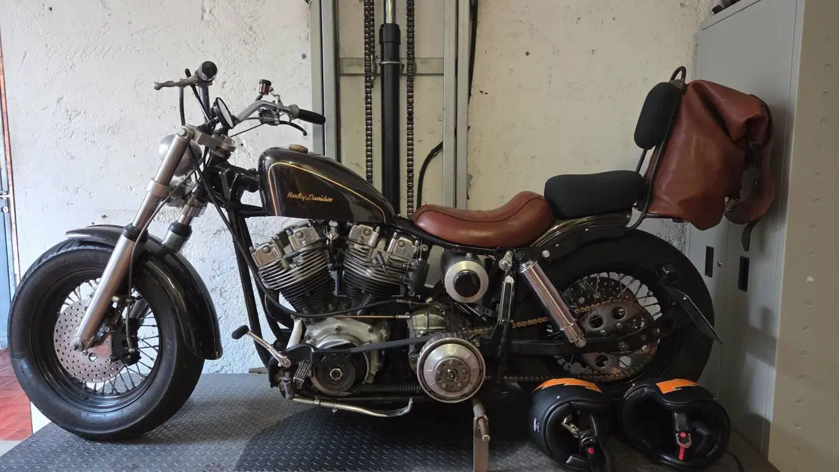 Harley-Davidson   (8)