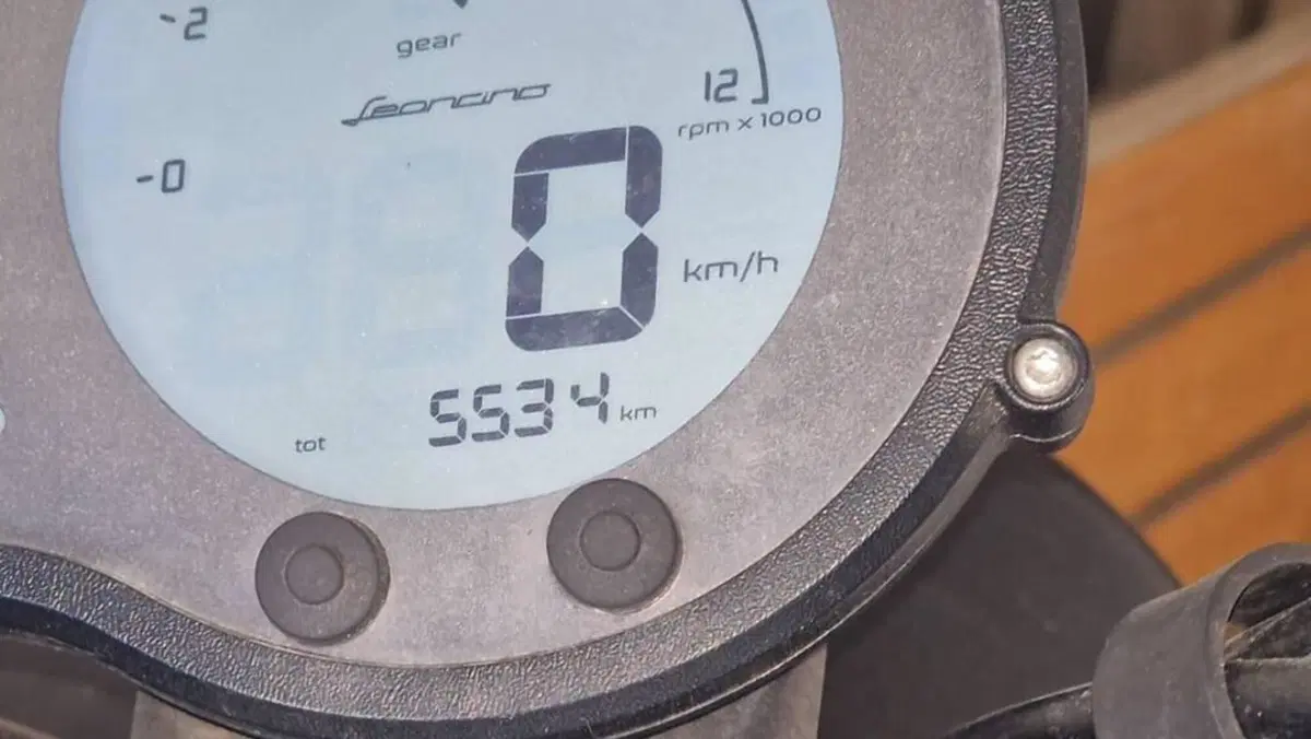 Benelli Leoncino 500 Trail (2021 - 26)  (6)