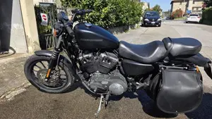 Harley-Davidson 883 Iron (2009 - 11) - XL 883N  (2)