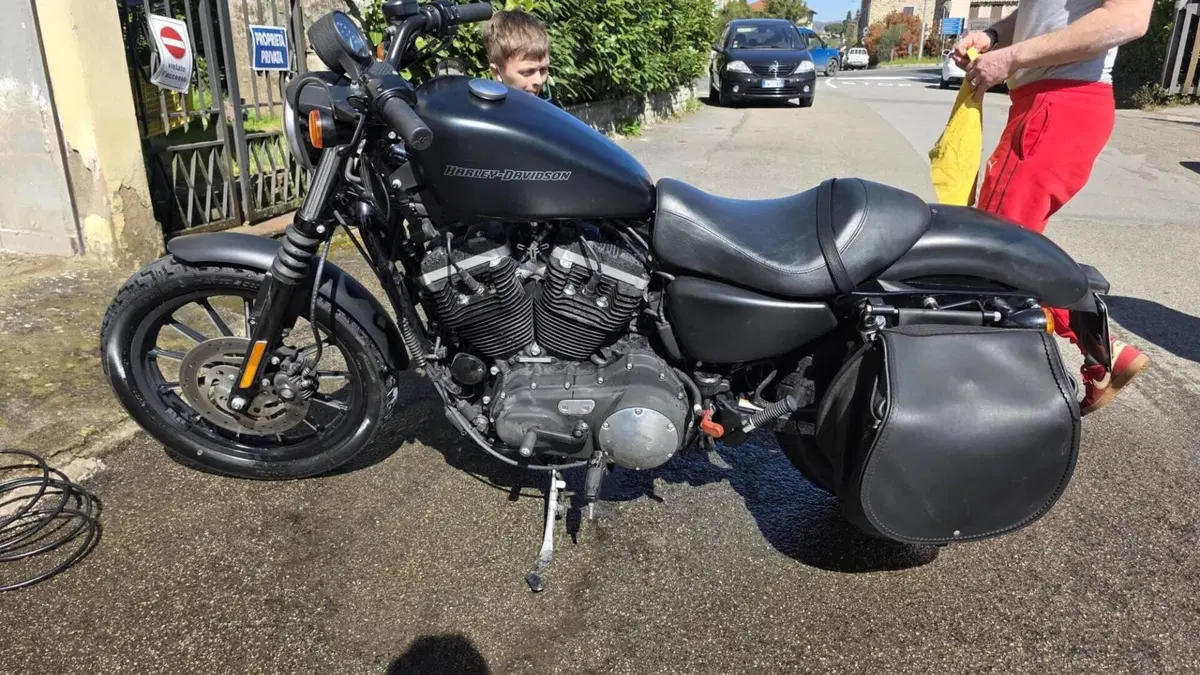 Harley-Davidson 883 Iron (2009 - 11) - XL 883N  (4)