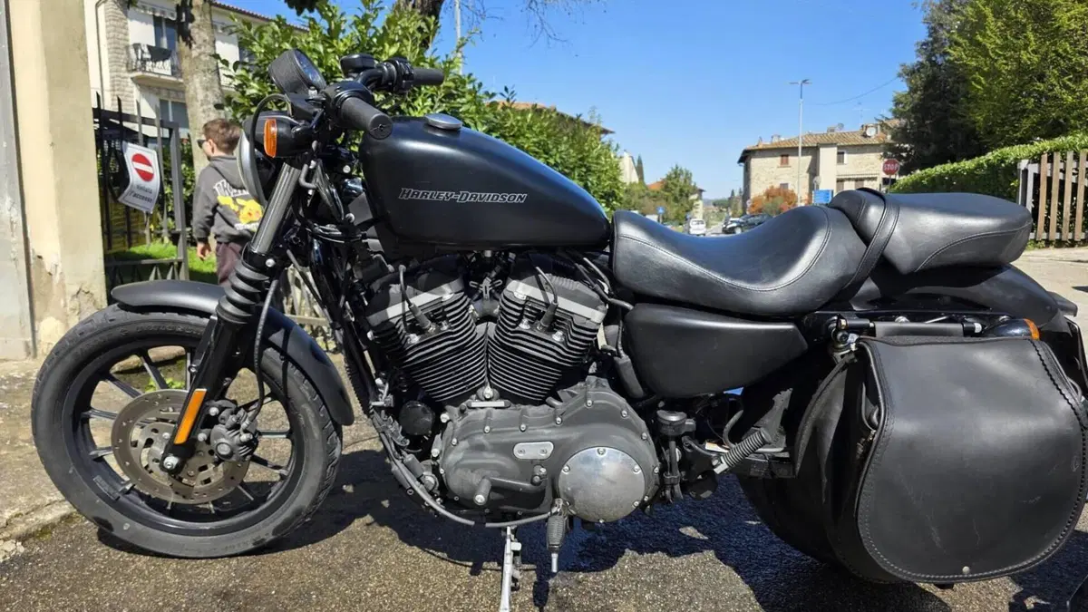 Harley-Davidson 883 Iron (2009 - 11) - XL 883N  (7)
