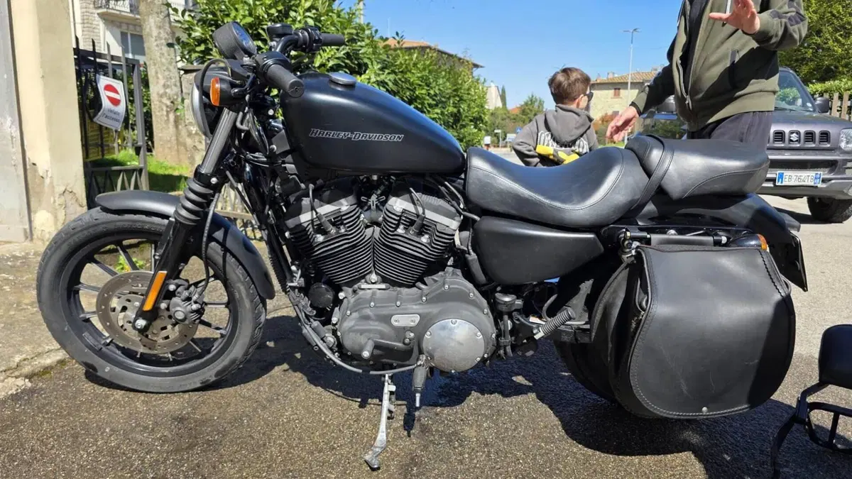 Harley-Davidson 883 Iron (2009 - 11) - XL 883N  (8)