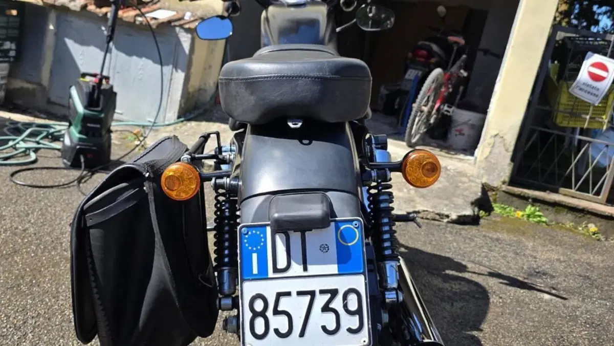 Harley-Davidson 883 Iron (2009 - 11) - XL 883N  (10)
