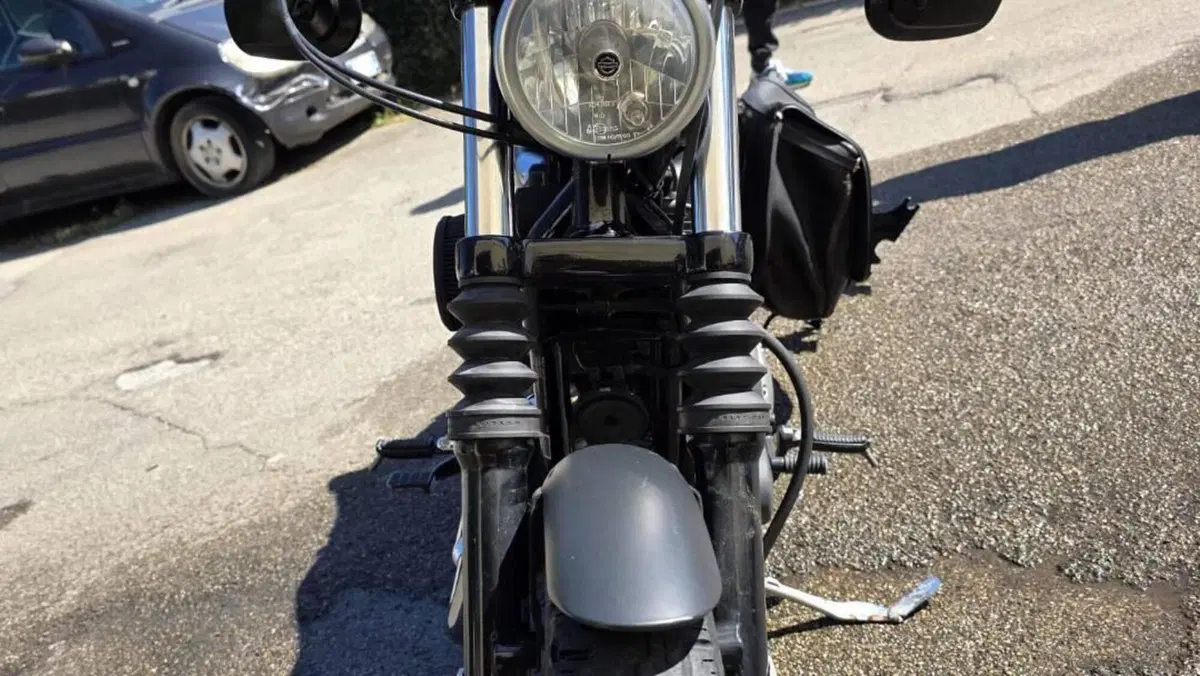 Harley-Davidson 883 Iron (2009 - 11) - XL 883N  (11)