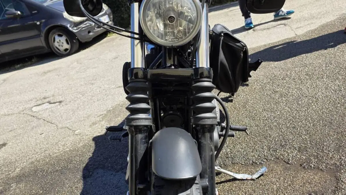 Harley-Davidson 883 Iron (2009 - 11) - XL 883N  (12)