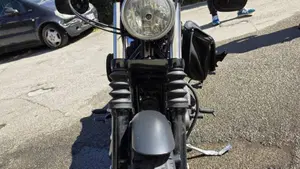 Harley-Davidson 883 Iron (2009 - 11) - XL 883N  (12)
