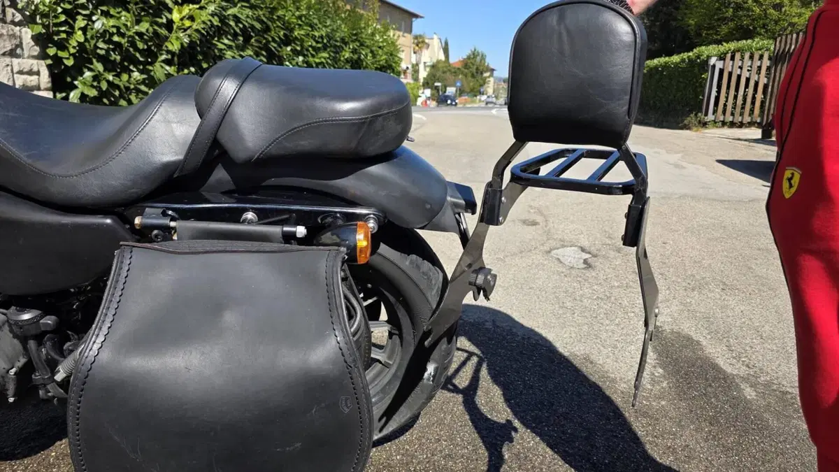 Harley-Davidson 883 Iron (2009 - 11) - XL 883N  (15)