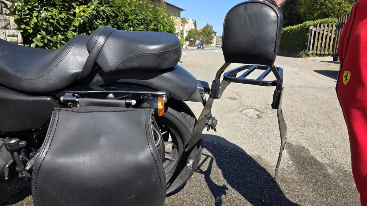 Harley-Davidson 883 Iron (2009 - 11) - XL 883N  (16)