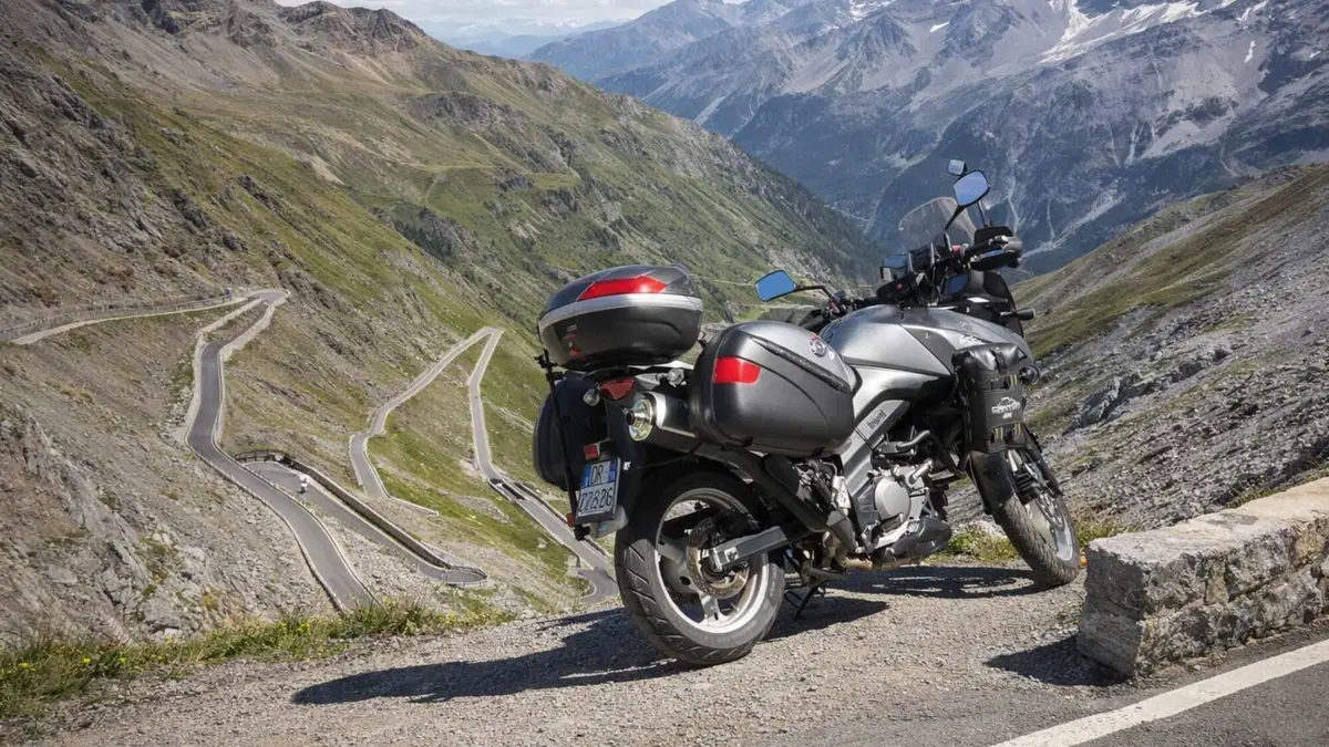 Suzuki V-Strom 650 ABS (2011 - 17)  (7)