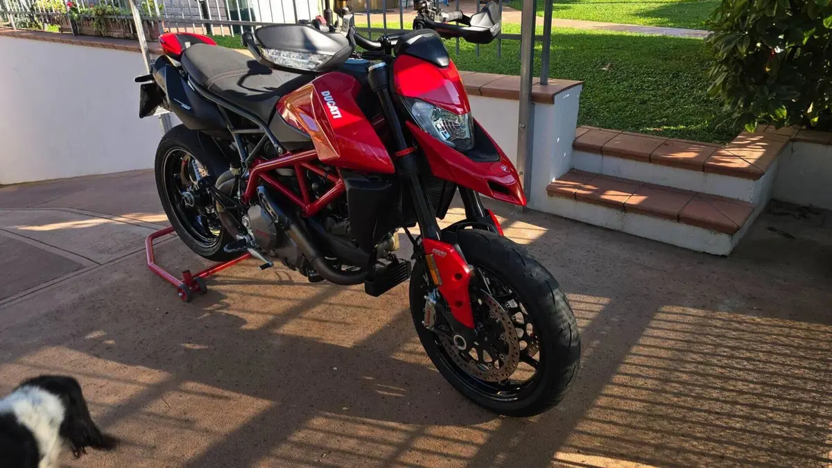 Ducati Hypermotard 950 (2019 - 20)  (7)
