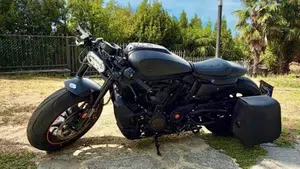 Harley-Davidson Sportster S (2022 - 24)  (2)