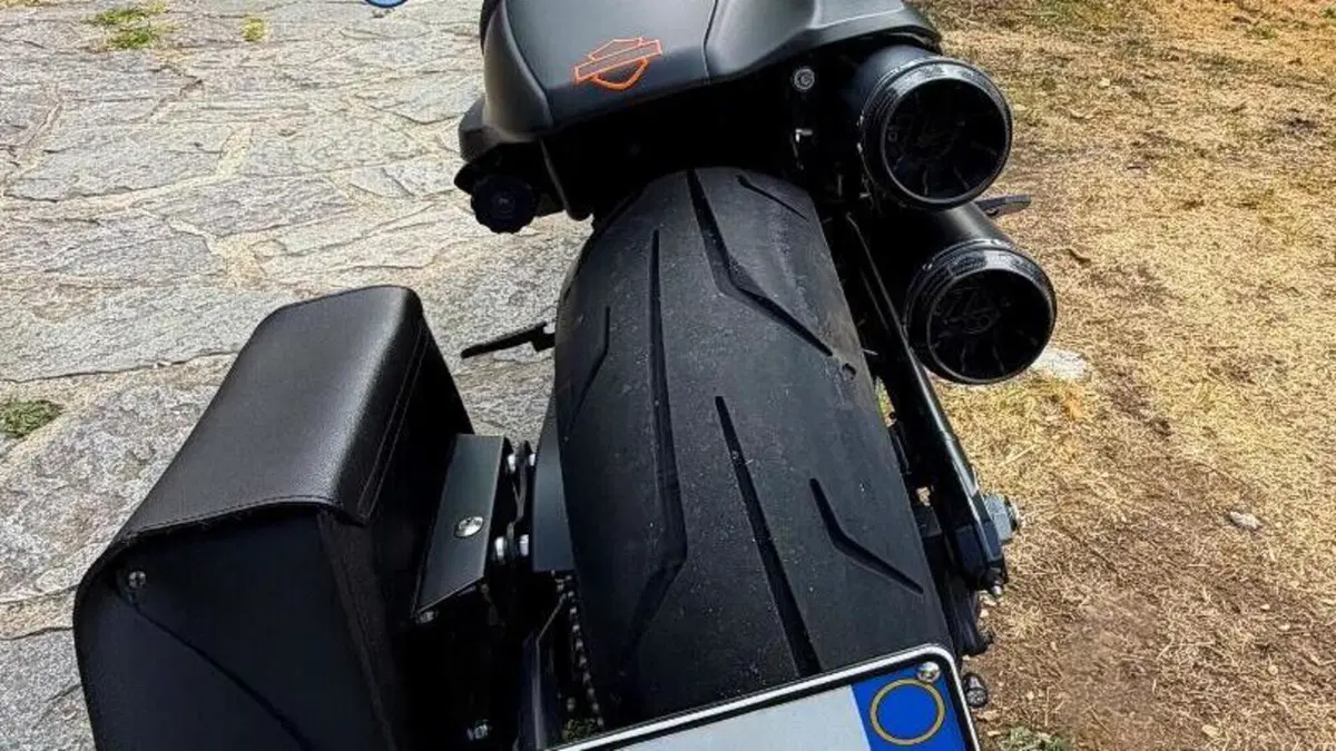 Harley-Davidson Sportster S (2022 - 24)  (5)